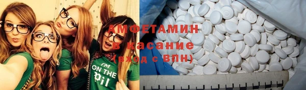 индика Аркадак