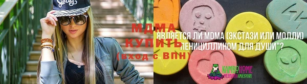 индика Аркадак