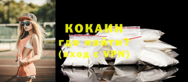 индика Аркадак