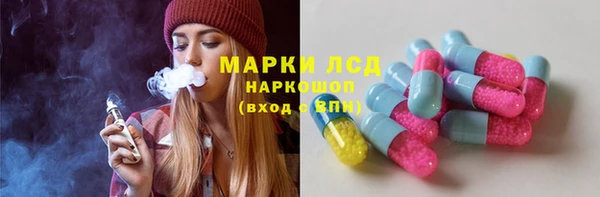 индика Аркадак
