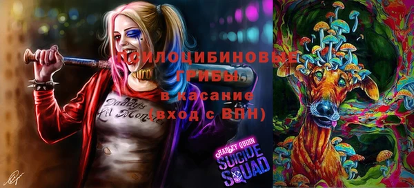индика Аркадак