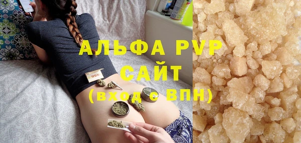 индика Аркадак