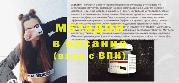 индика Аркадак