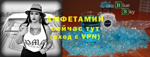 индика Аркадак