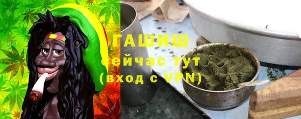 индика Аркадак