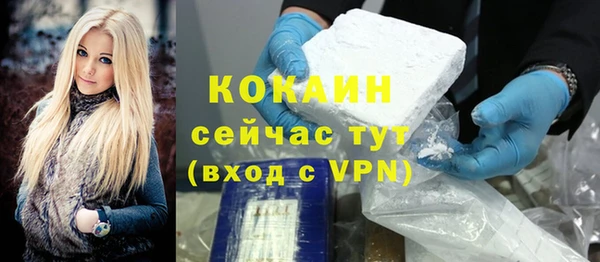 индика Аркадак