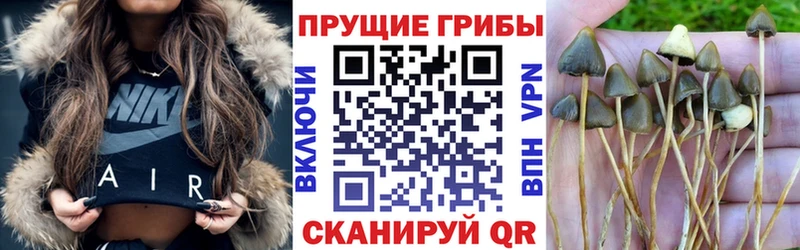 Псилоцибиновые грибы Magic Shrooms  Купить  Тимашёвск 